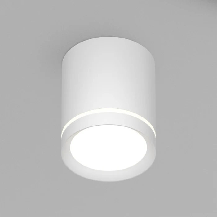 Накладной светильник Denkirs Ribe DK4013-WH