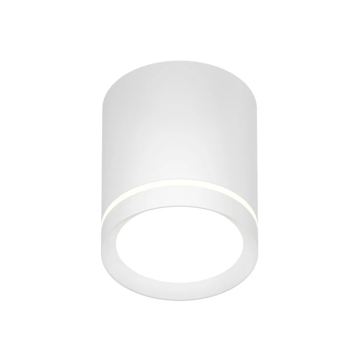 Накладной светильник Denkirs Ribe DK4013-WH