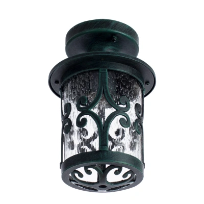 Уличный потолочный светильник Arte Lamp PERSIA A1453PF-1BG