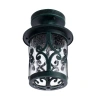 Уличный потолочный светильник Arte Lamp PERSIA A1453PF-1BG