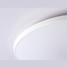Потолочный светодиодный светильник Ambrella light FZ1222