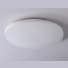 Потолочный светодиодный светильник Ambrella light FZ1222