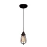 Подвесной светильник Loft it Loft cage LOFT1124