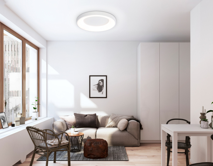 Потолочный светодиодный светильник с пультом Ambrella light FZ1401