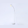 Светильник напольный с выключателем на проводе Ambrella light TR97680