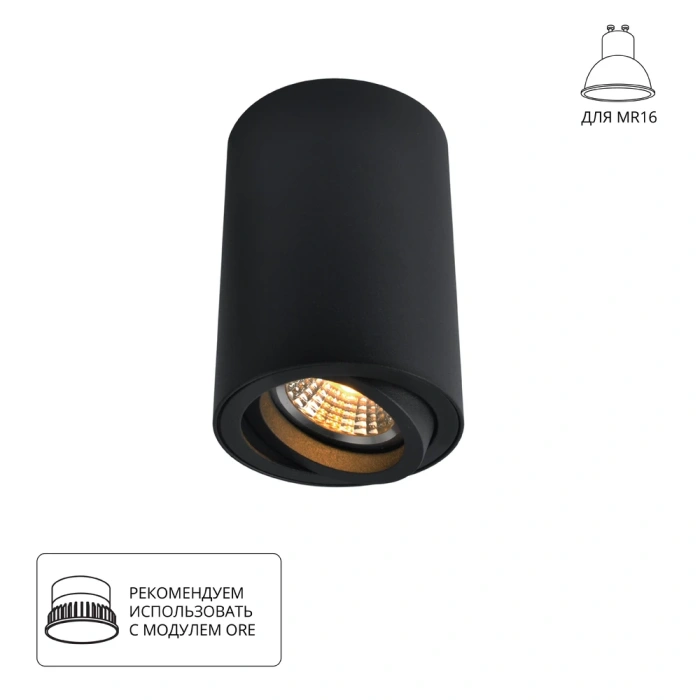 Потолочный светильник Arte Lamp A1560PL-1BK