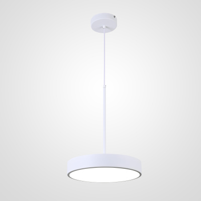 Подвесной светильник TURNA ONE D30 White by ImperiumLoft ImperiumLoft