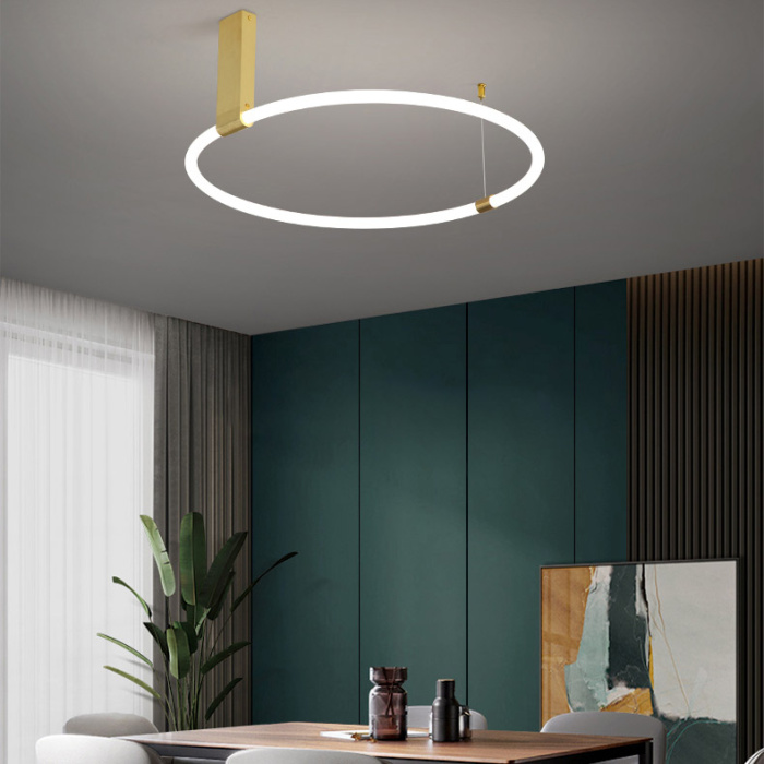 Потолочный светильник RINGMOR D60 D80 R2 ImperiumLoft