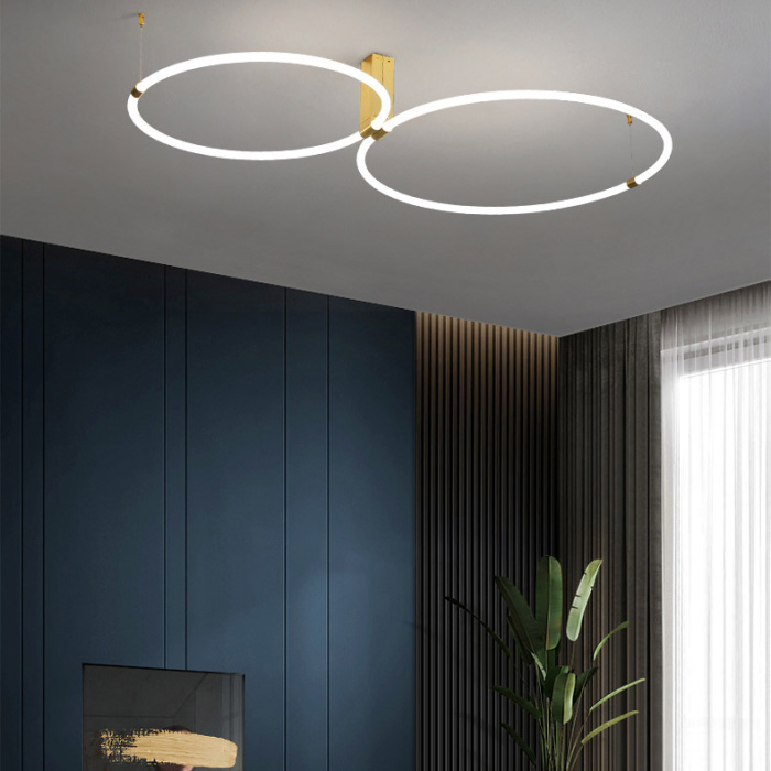 Потолочный светильник RINGMOR D60 D80 R2 ImperiumLoft