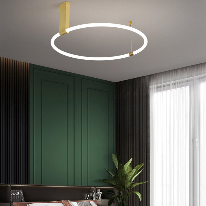 Потолочный светильник RINGMOR D60 D80 R2 ImperiumLoft