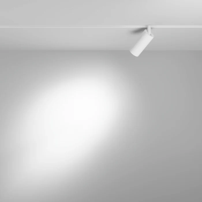 Трековый светильник Maytoni Focus LED TR032-2-5W3K-S-W