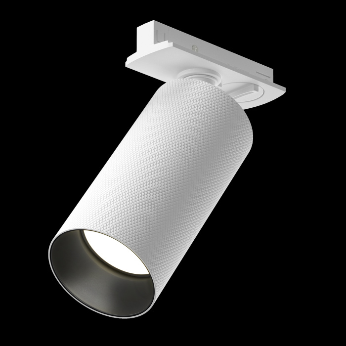 Трековый светильник Maytoni Artisan TR089-1-GU10-WW