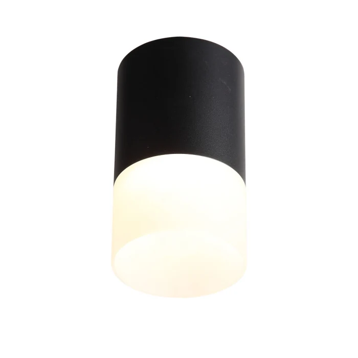 Накладной светильник ST Luce ST100.402.05