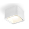 Комплект накладного светильника с акрилом Ambrella light XS7832021