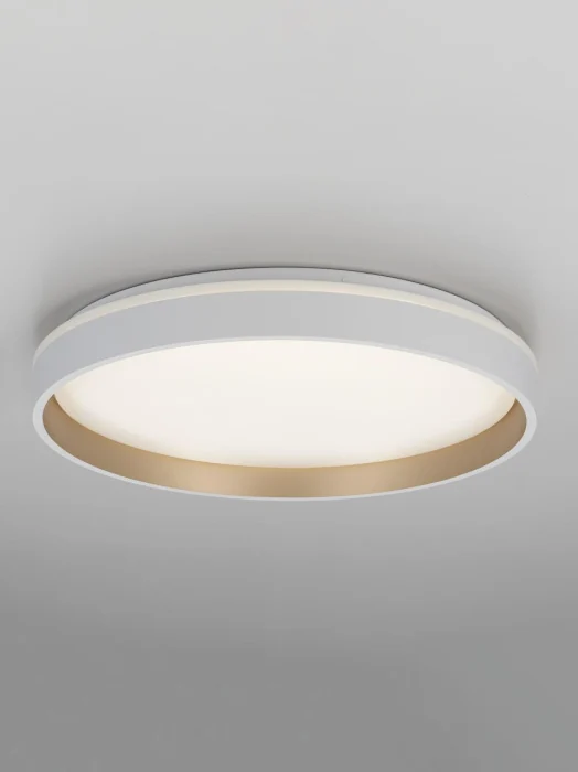 Потолочный светильник Citilux Enzo CL753450G