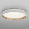 Потолочный светильник Citilux Enzo CL753450G