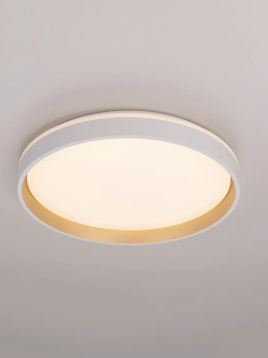 Потолочный светильник Citilux Enzo CL753450G