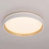 Потолочный светильник Citilux Enzo CL753450G