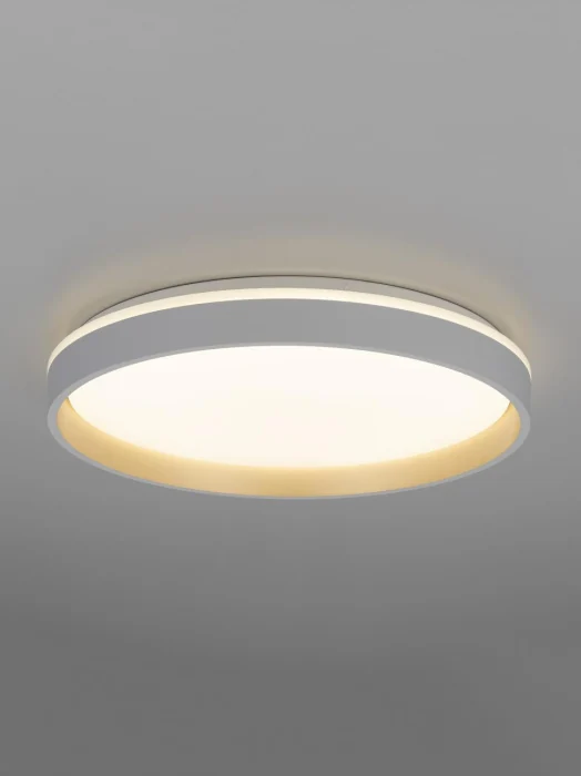 Потолочный светильник Citilux Enzo CL753450G