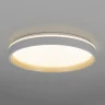 Потолочный светильник Citilux Enzo CL753450G