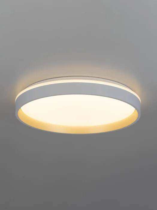 Потолочный светильник Citilux Enzo CL753450G