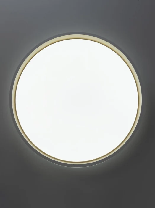 Потолочный светильник Citilux Enzo CL753450G
