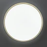 Потолочный светильник Citilux Enzo CL753450G