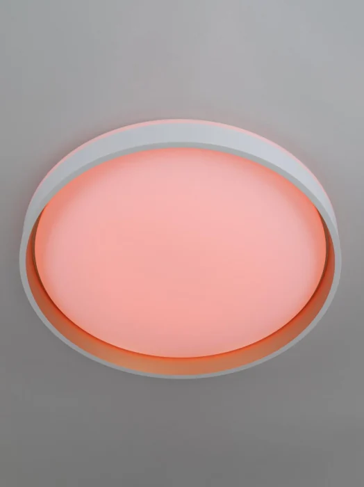 Потолочный светильник Citilux Enzo CL753450G