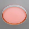 Потолочный светильник Citilux Enzo CL753450G