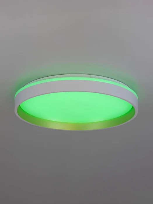 Потолочный светильник Citilux Enzo CL753450G