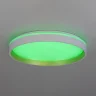 Потолочный светильник Citilux Enzo CL753450G
