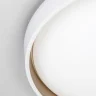 Потолочный светильник Citilux Enzo CL753450G