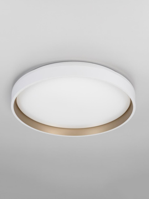 Потолочный светильник Citilux Enzo CL753450G