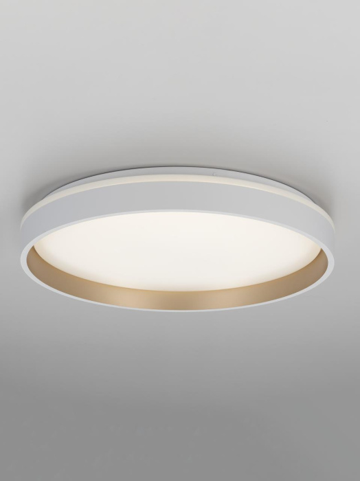 Потолочный светильник Citilux Enzo CL753450G