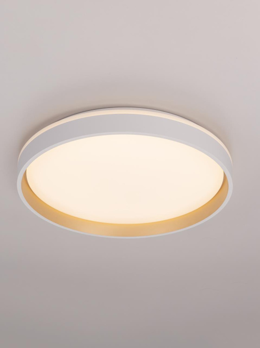 Потолочный светильник Citilux Enzo CL753450G