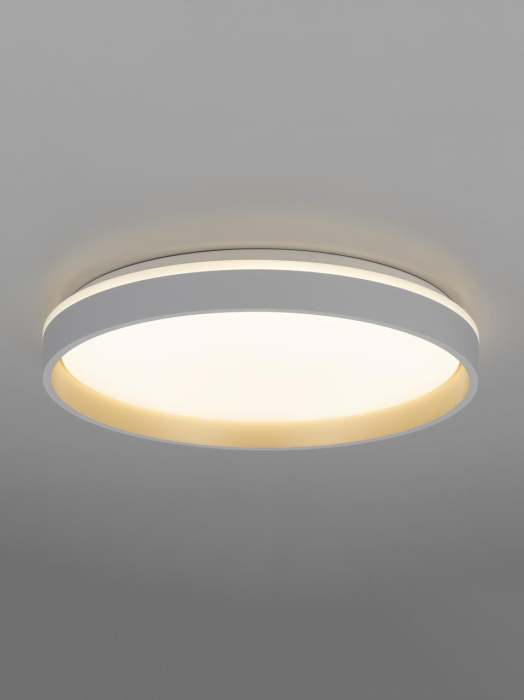 Потолочный светильник Citilux Enzo CL753450G