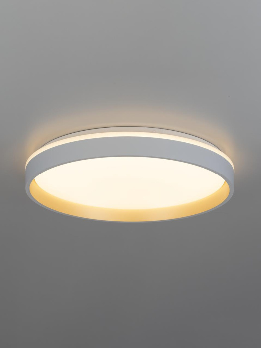 Потолочный светильник Citilux Enzo CL753450G