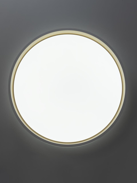 Потолочный светильник Citilux Enzo CL753450G