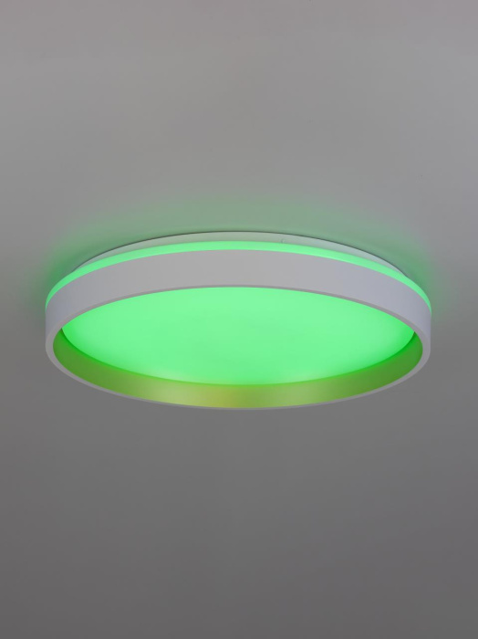 Потолочный светильник Citilux Enzo CL753450G