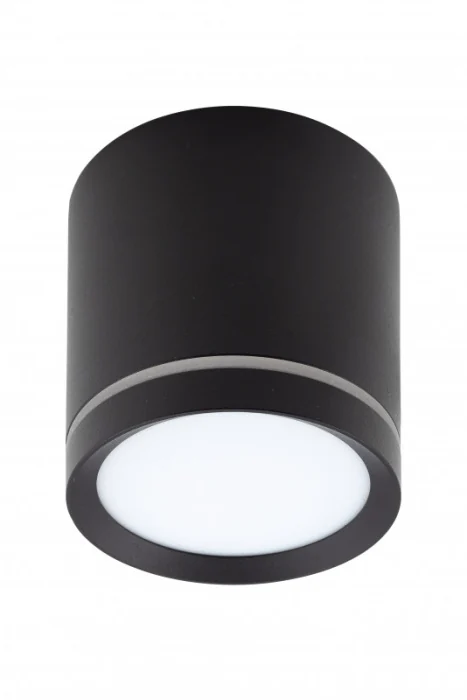 Накладной светильник Denkirs Ribe DK4016-BK