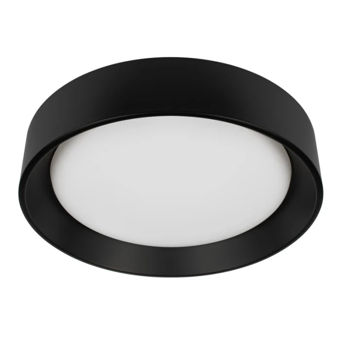 Потолочный светильник LOFT IT Coin 10202 BB