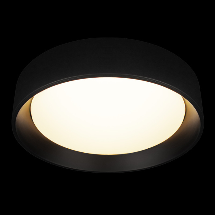 Потолочный светильник LOFT IT Coin 10202 BB