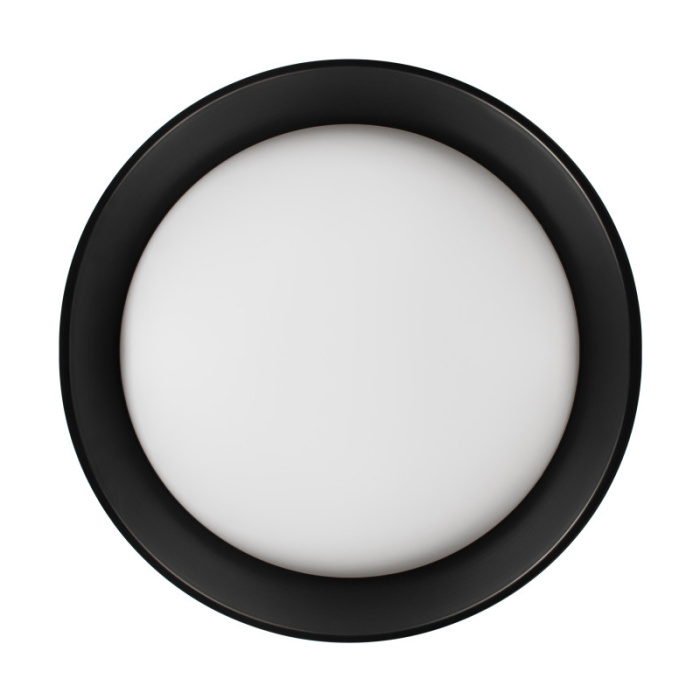 Потолочный светильник LOFT IT Coin 10202 BB