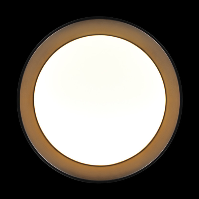 Потолочный светильник LOFT IT Coin 10202 BB