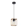 Подвесной светильник Arte Lamp DUBLIN A7025SP-1BK