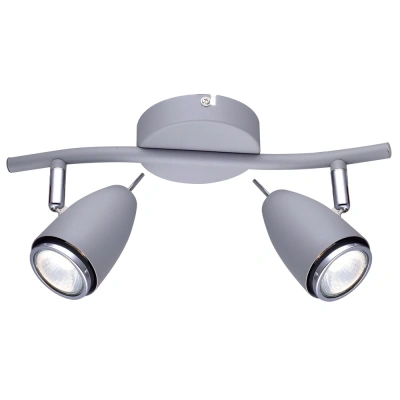 Спот Arte Lamp REGISTA A1966AP-2GY