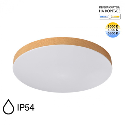 Потолочный светильник SONEX GAMMA 7761/50L