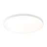 Потолочный светодиодный светильник Ambrella light FZ1223