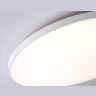 Потолочный светодиодный светильник Ambrella light FZ1223