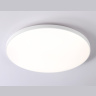 Потолочный светодиодный светильник Ambrella light FZ1223